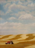 Prairie Patterns
