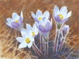 Spring Bouquet