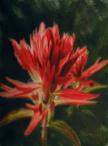 Classic Paintbrush