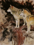 On the Brink (Wolves)