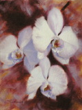 Orchid Trio