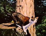 The Littlest Mountain Lion